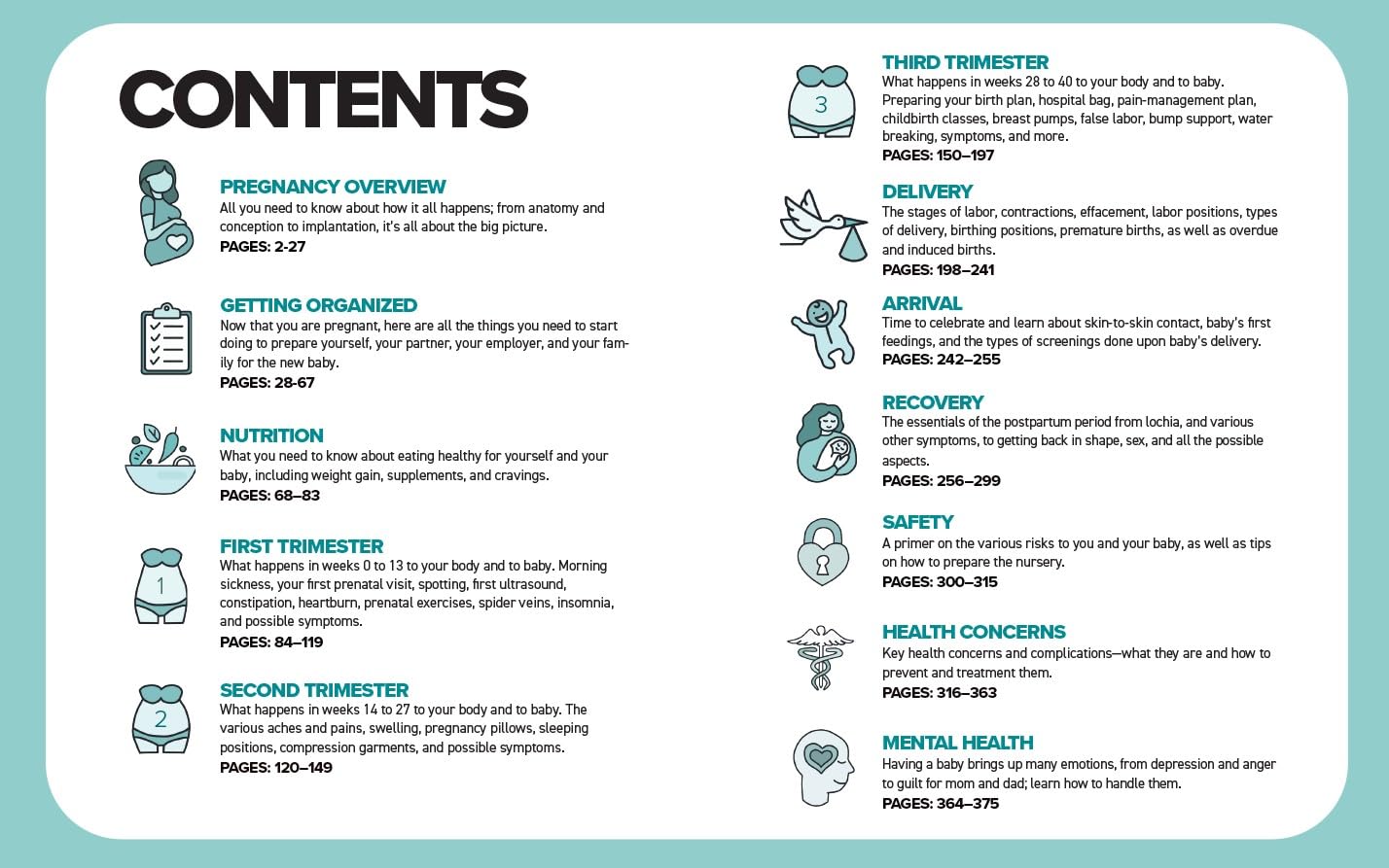 The Simplest Pregnancy Book in the World: The Illustrated, Grab-and-Do Guide for a Healthy, Happy Pregnancy and Childbirth